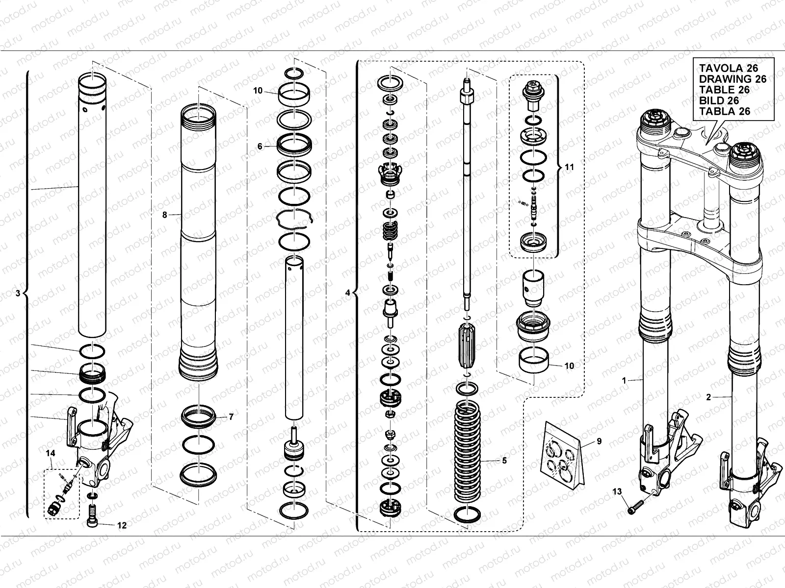 FRONT FORK (R)