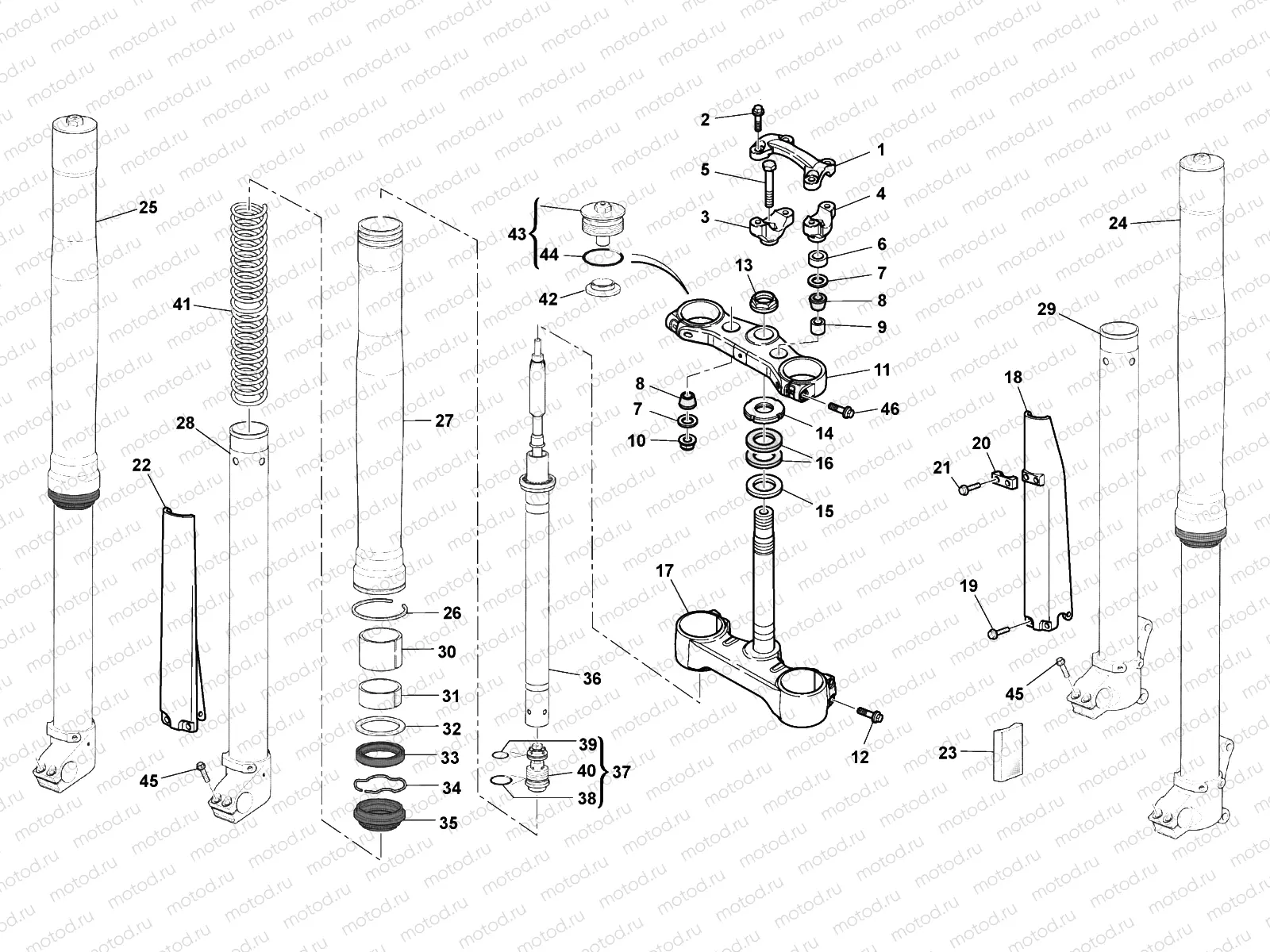 FRONT FORK (TE - USA)