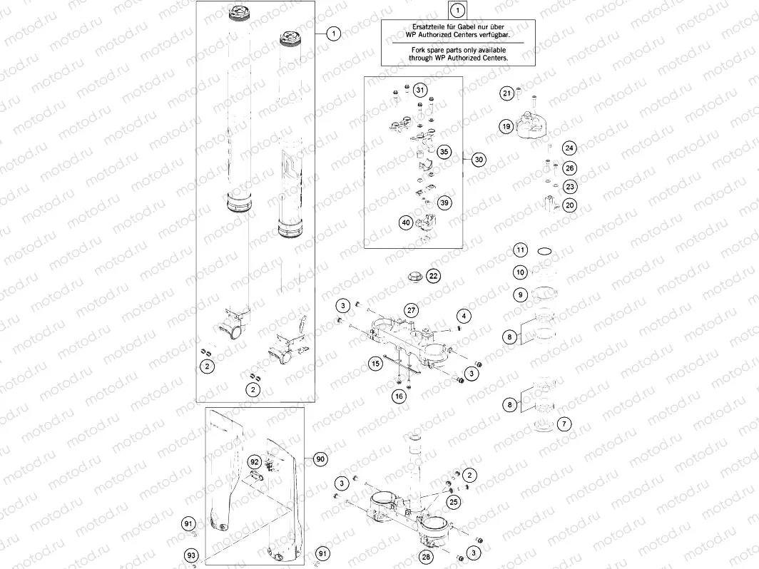 FRONT FORK, TRIPLE CLAMP|Frame|01