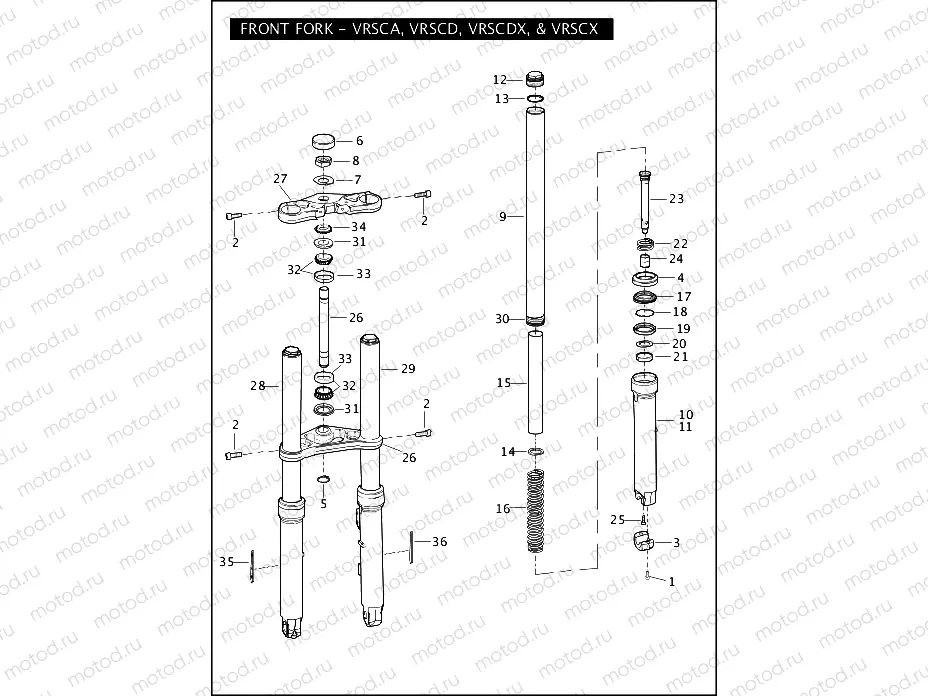 FRONT FORK - VRSCA, VRSCD, VRSCDX, VRSCX