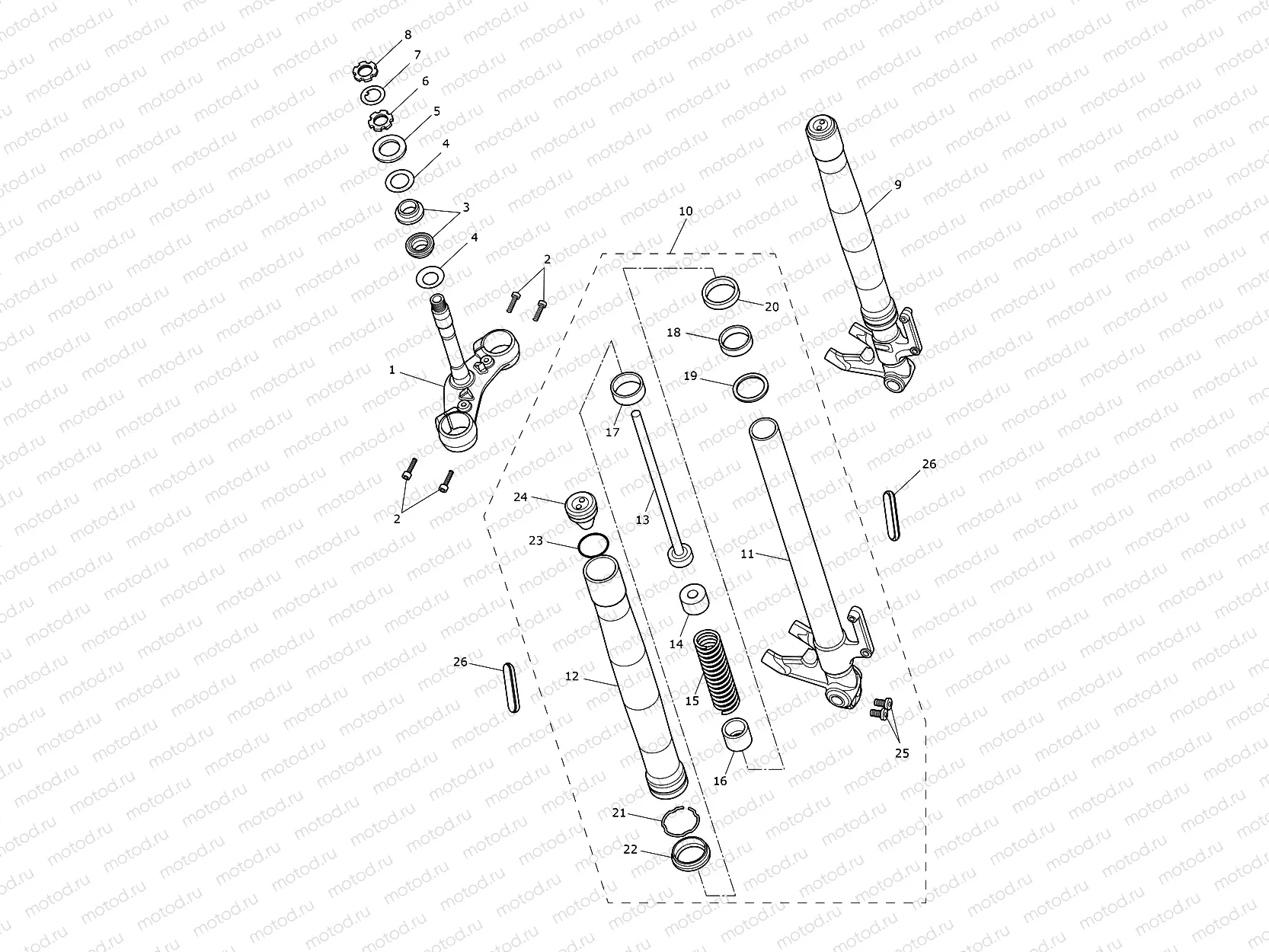 Front Forks & Lower Yoke