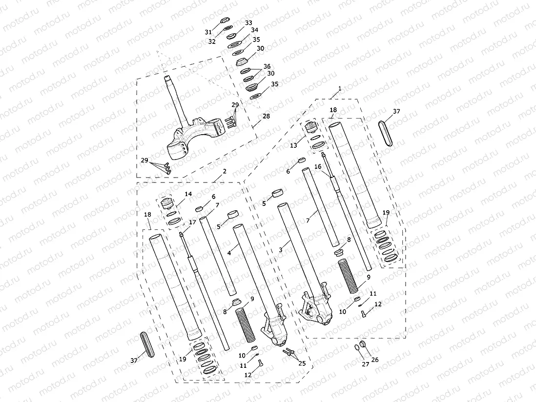 Front Forks & Lower Yoke