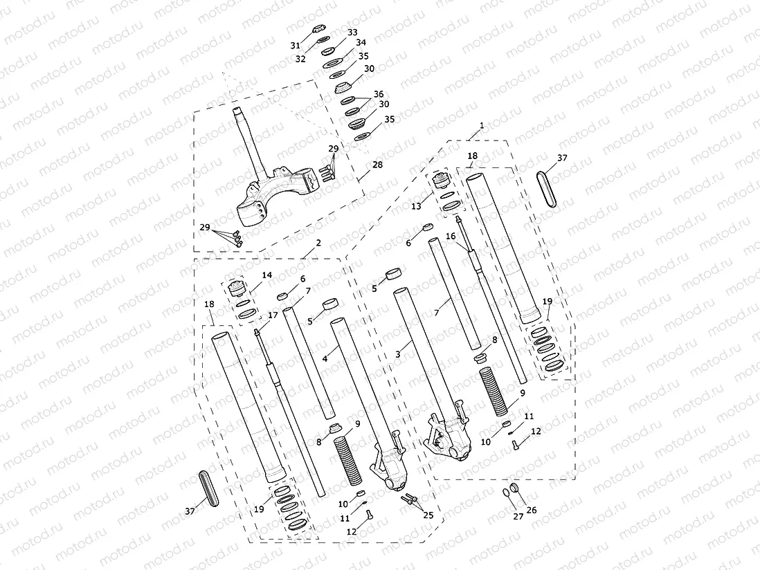 Front Forks & Lower Yoke