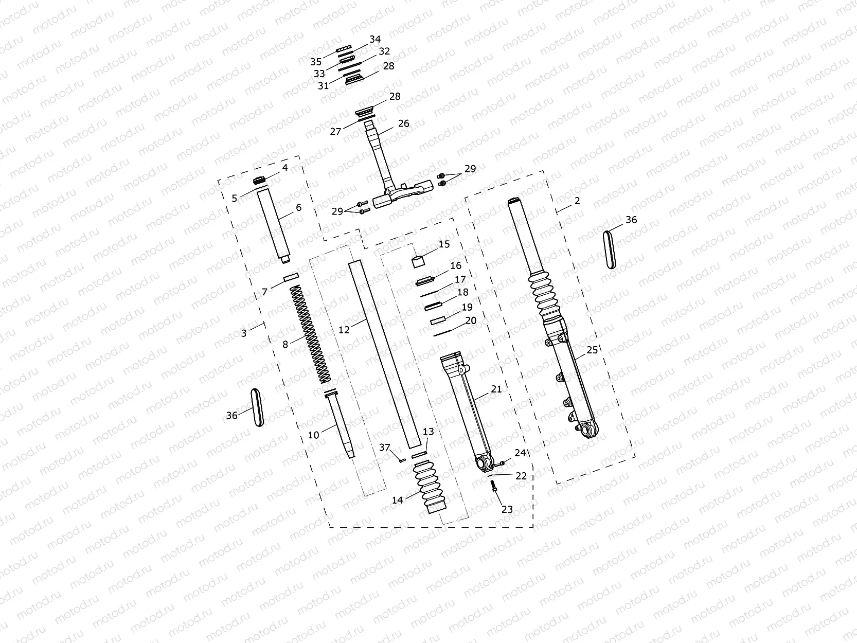 Front Forks & Lower Yoke