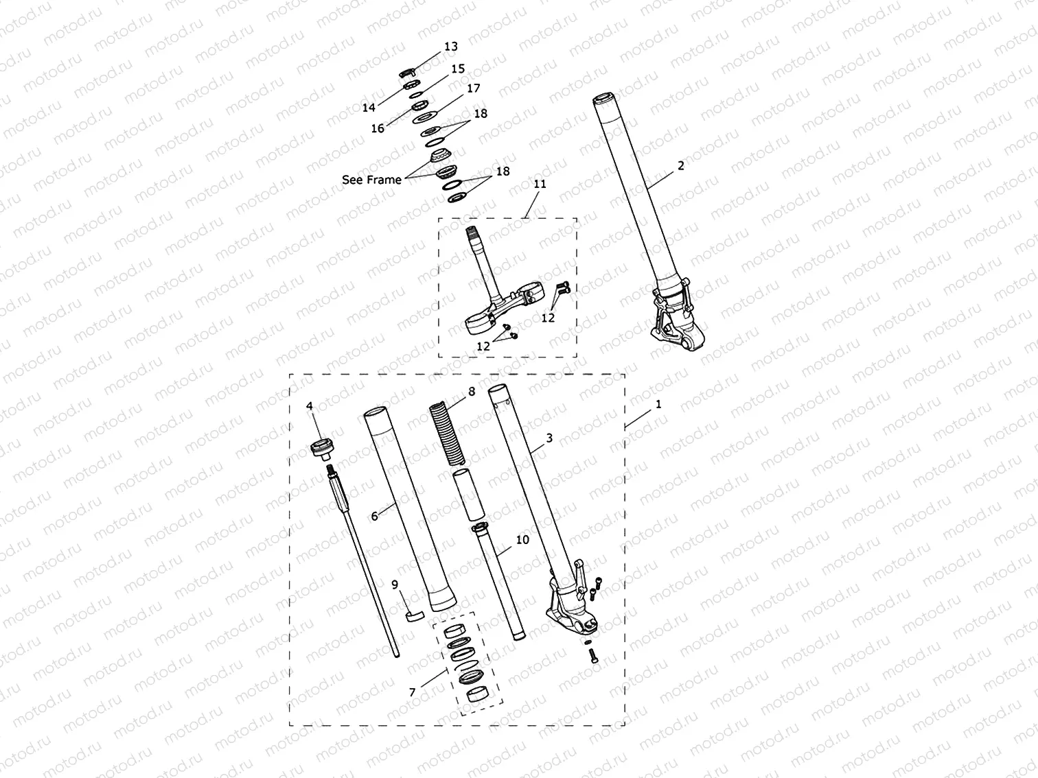 Front Forks & Lower Yoke Assy