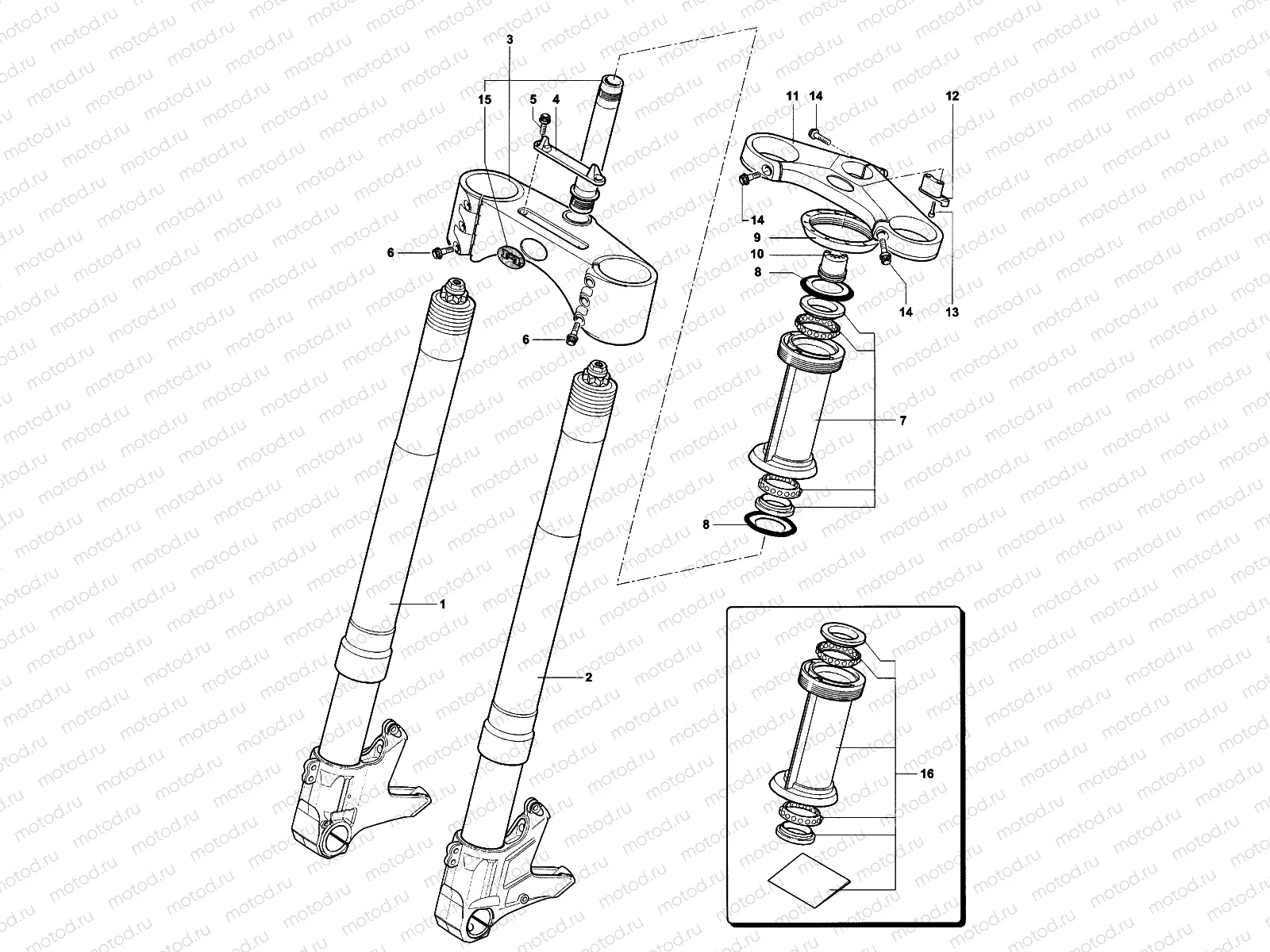 Front Suspension Assembly