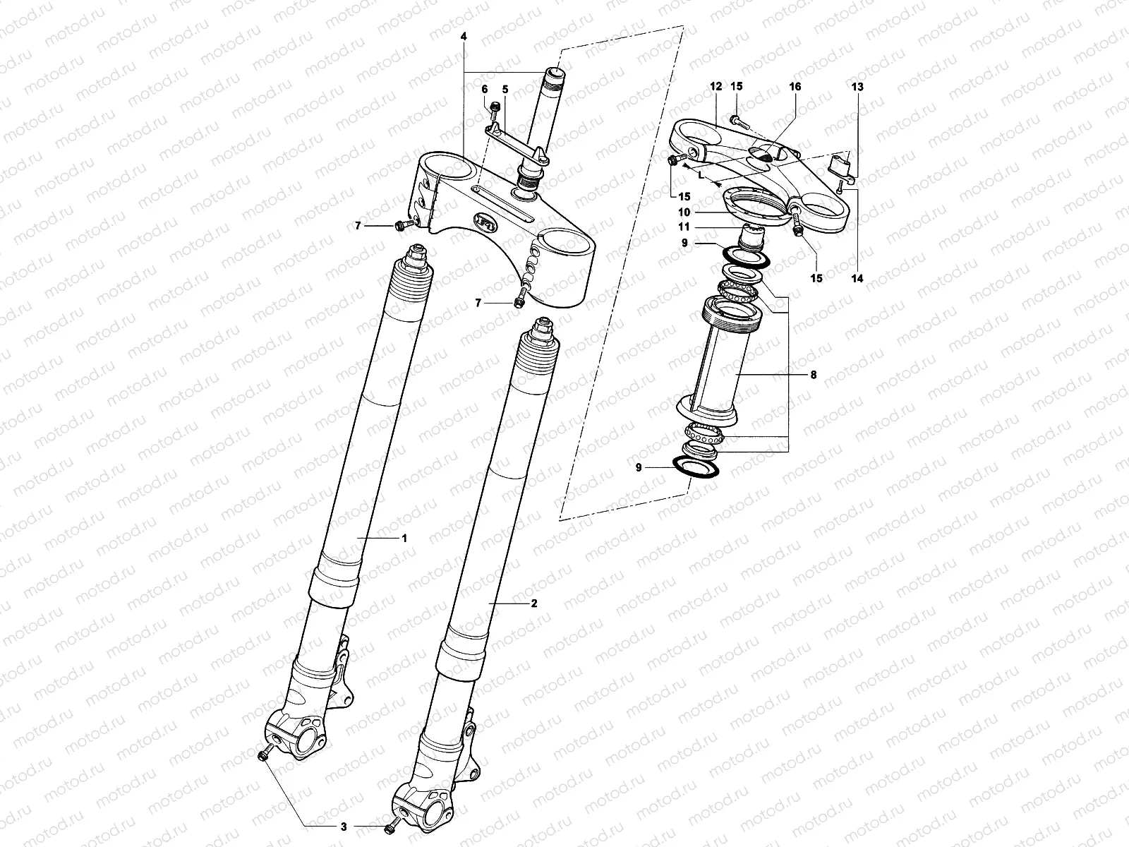 Front Suspension Assembly