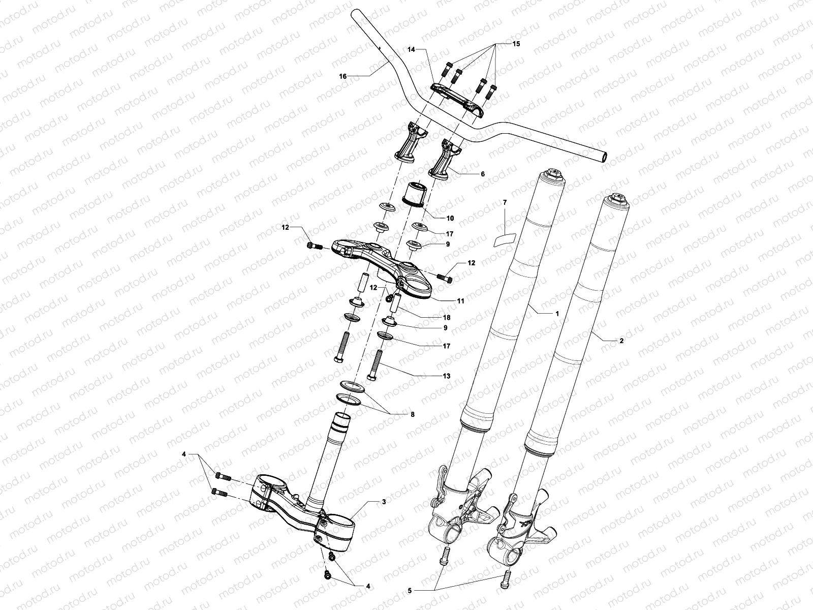 Front Suspension Assembly