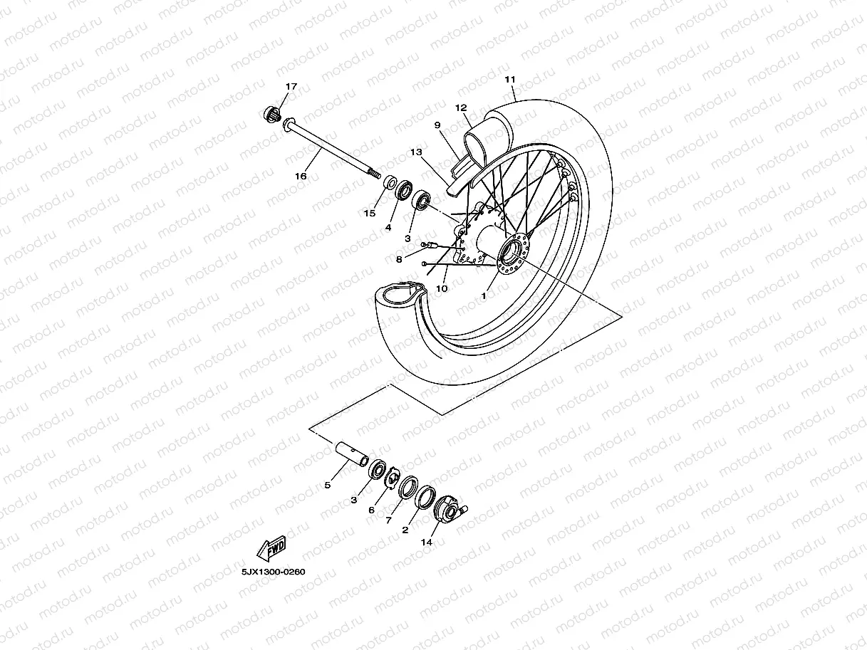 Front wheel