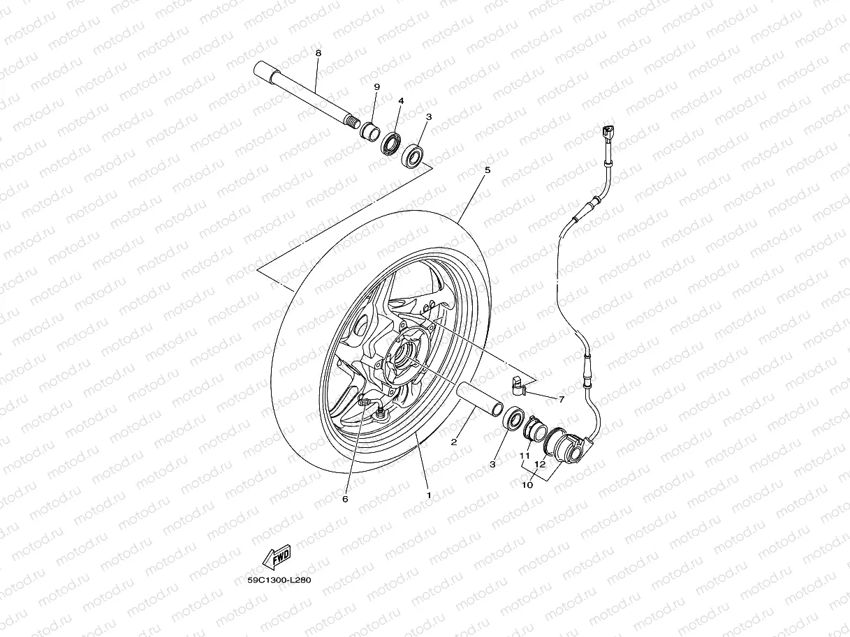 Front wheel