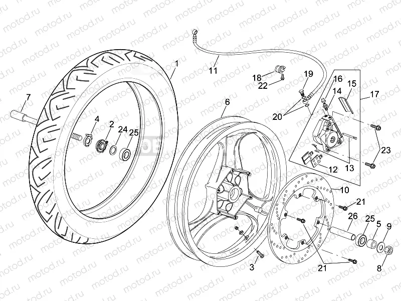 Front wheel