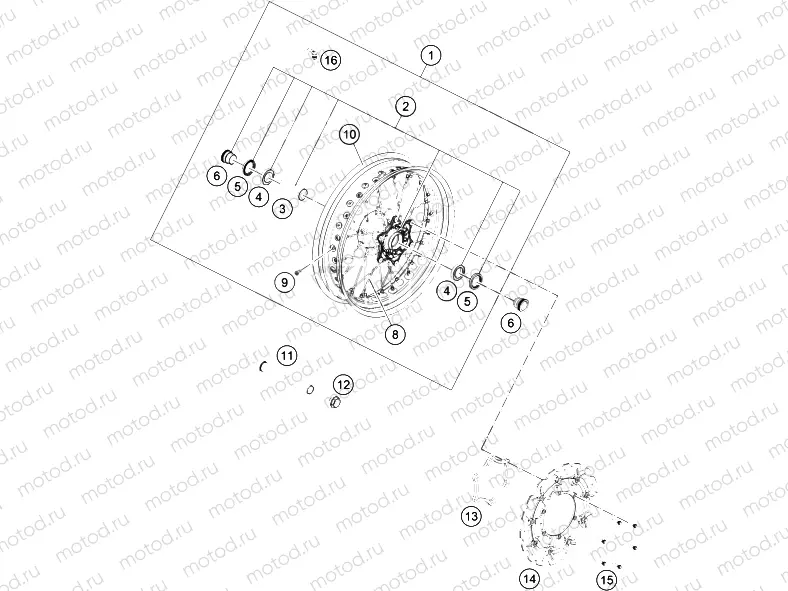 FRONT WHEEL|Frame|09