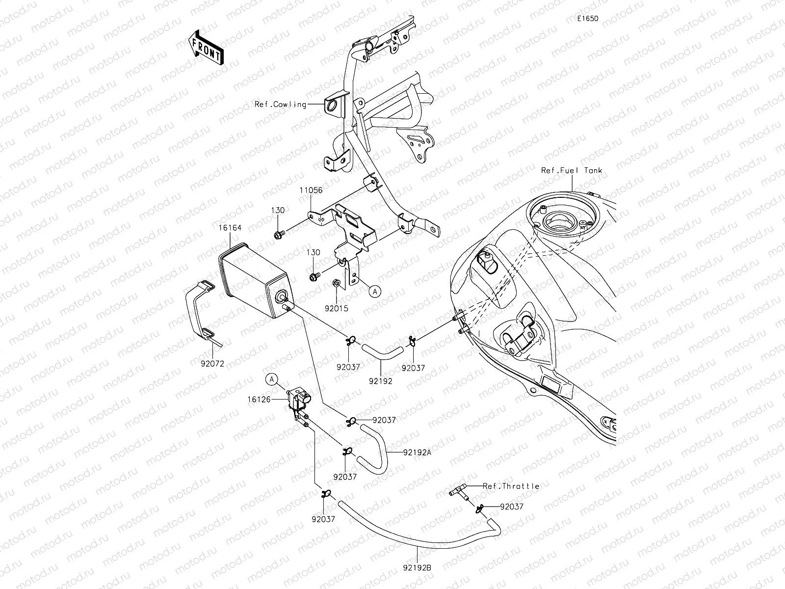 Fuel Evaporative System
