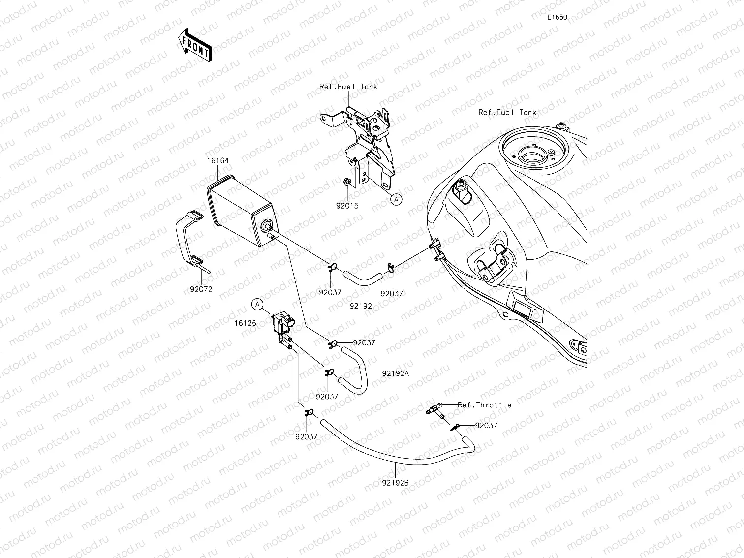 Fuel Evaporative System