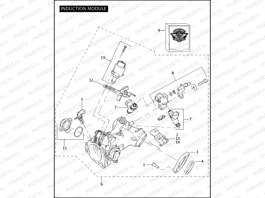 FUEL INDUCTION MODULE