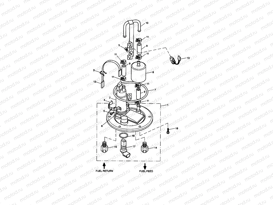Fuel Pump and Filter > Vin 201541