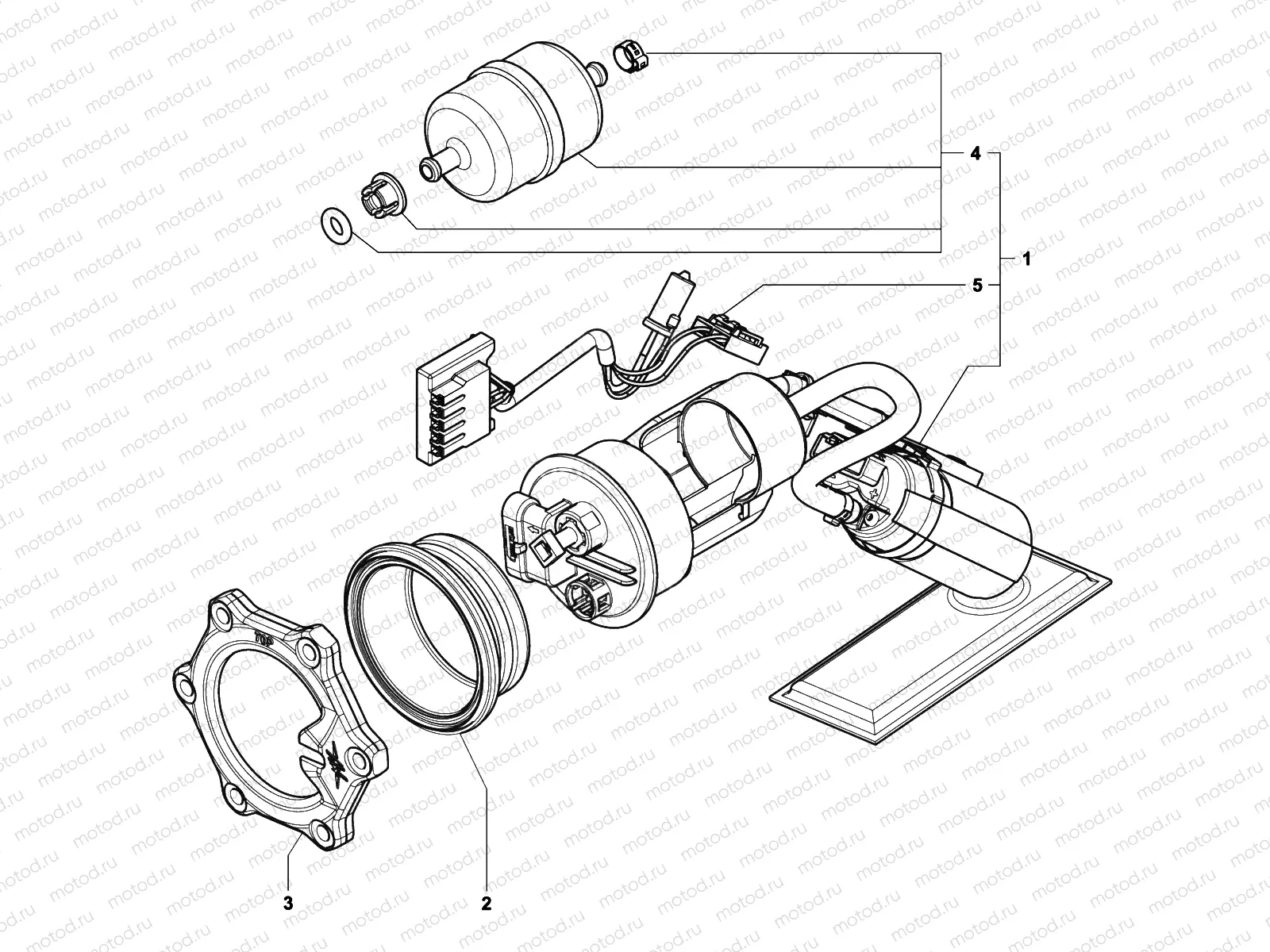 Fuel Pump Assembly