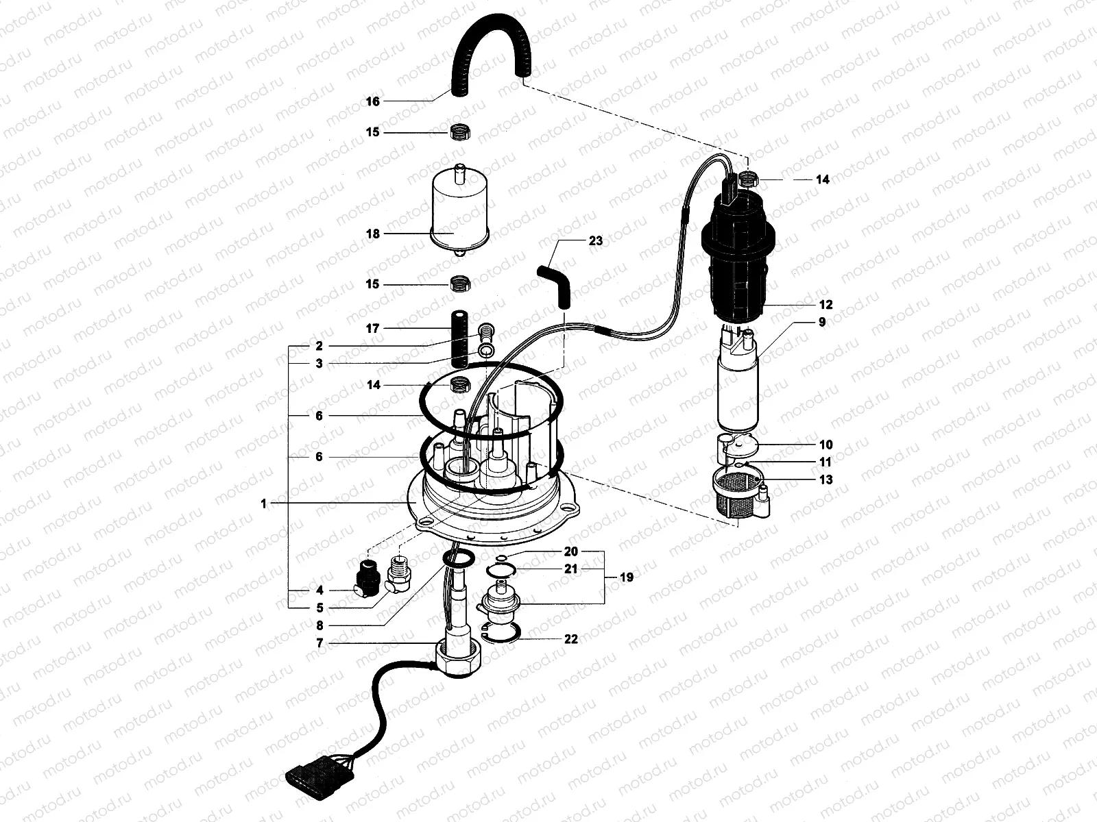 Fuel Pump Assembly