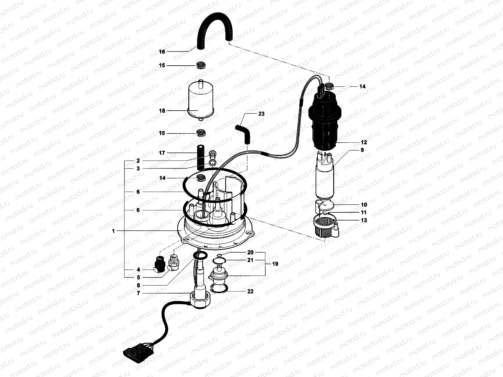Fuel Pump Assembly