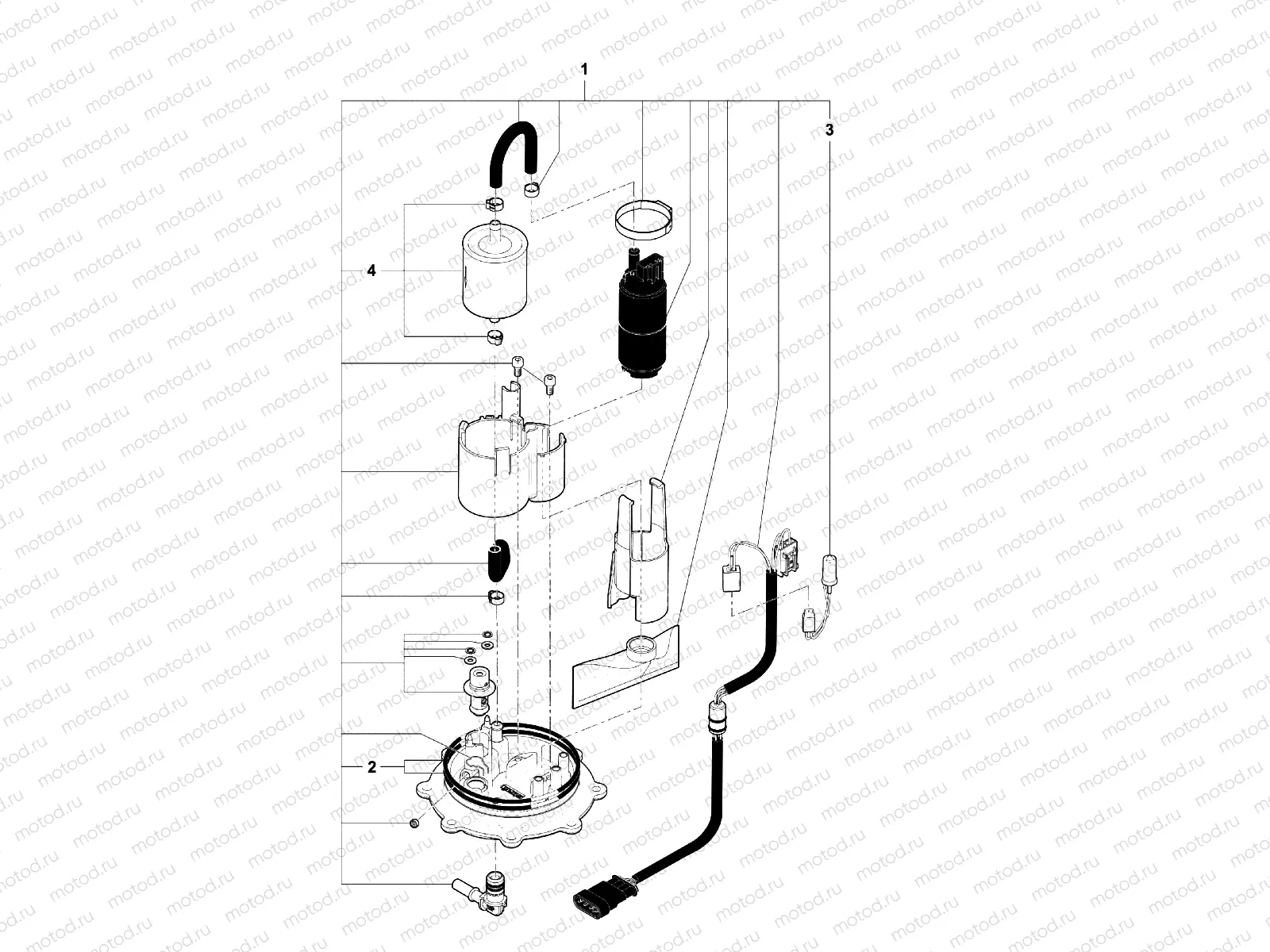 Fuel Pump Assembly