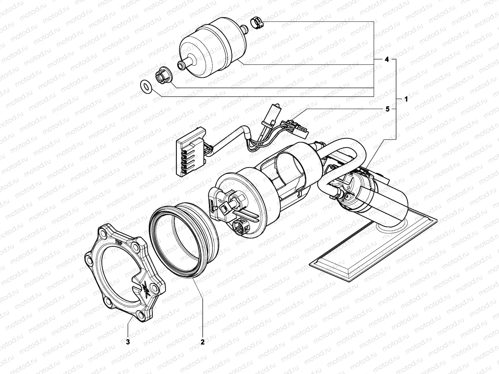 Fuel Pump Assembly
