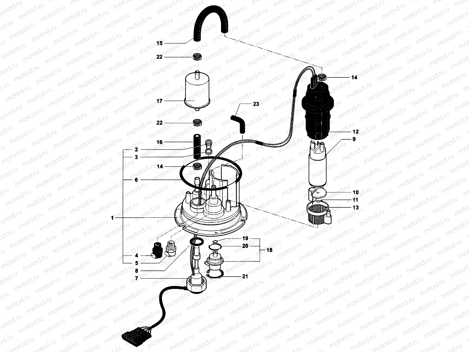 Fuel Pump Assembly