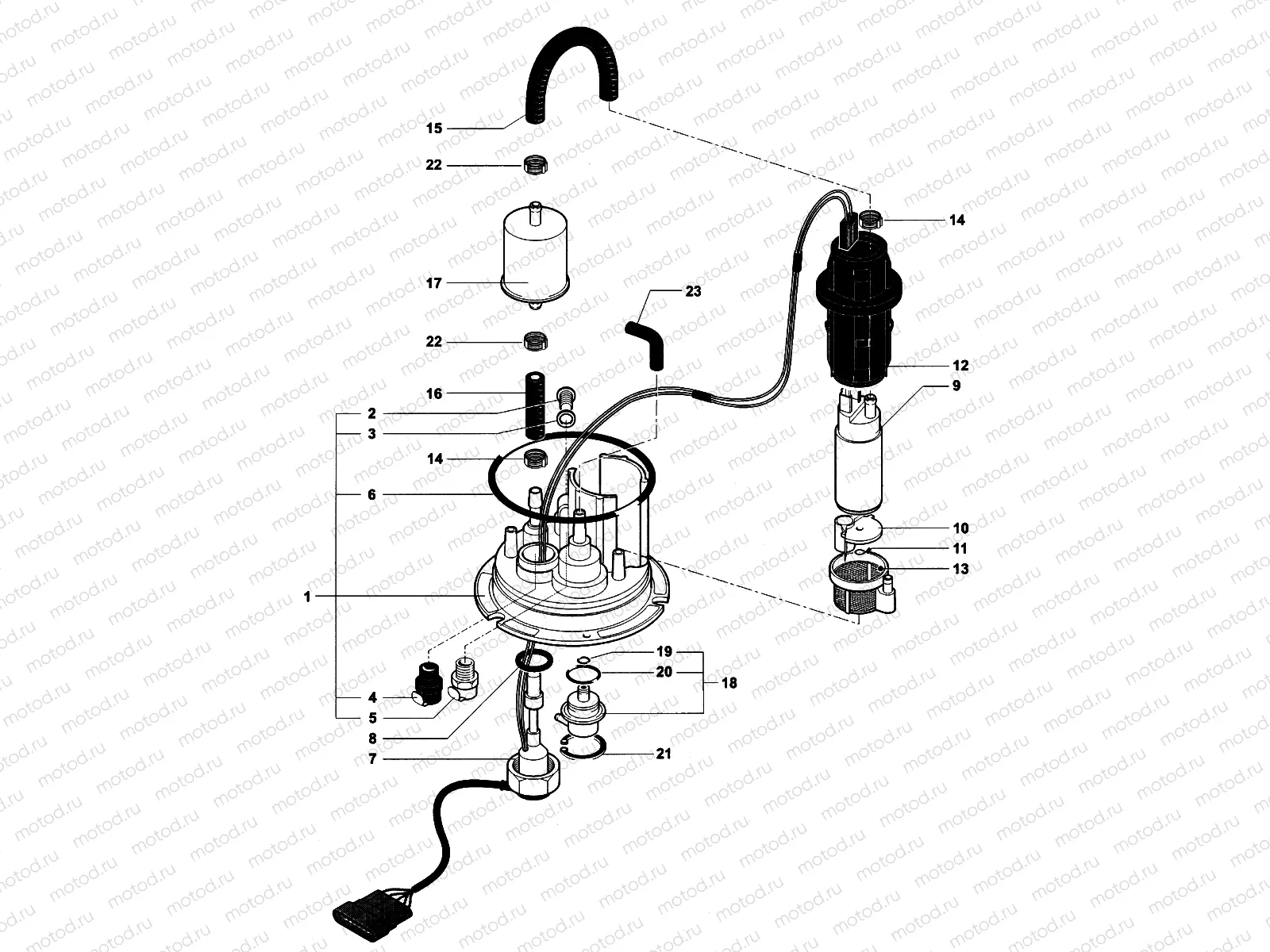 Fuel Pump Assembly
