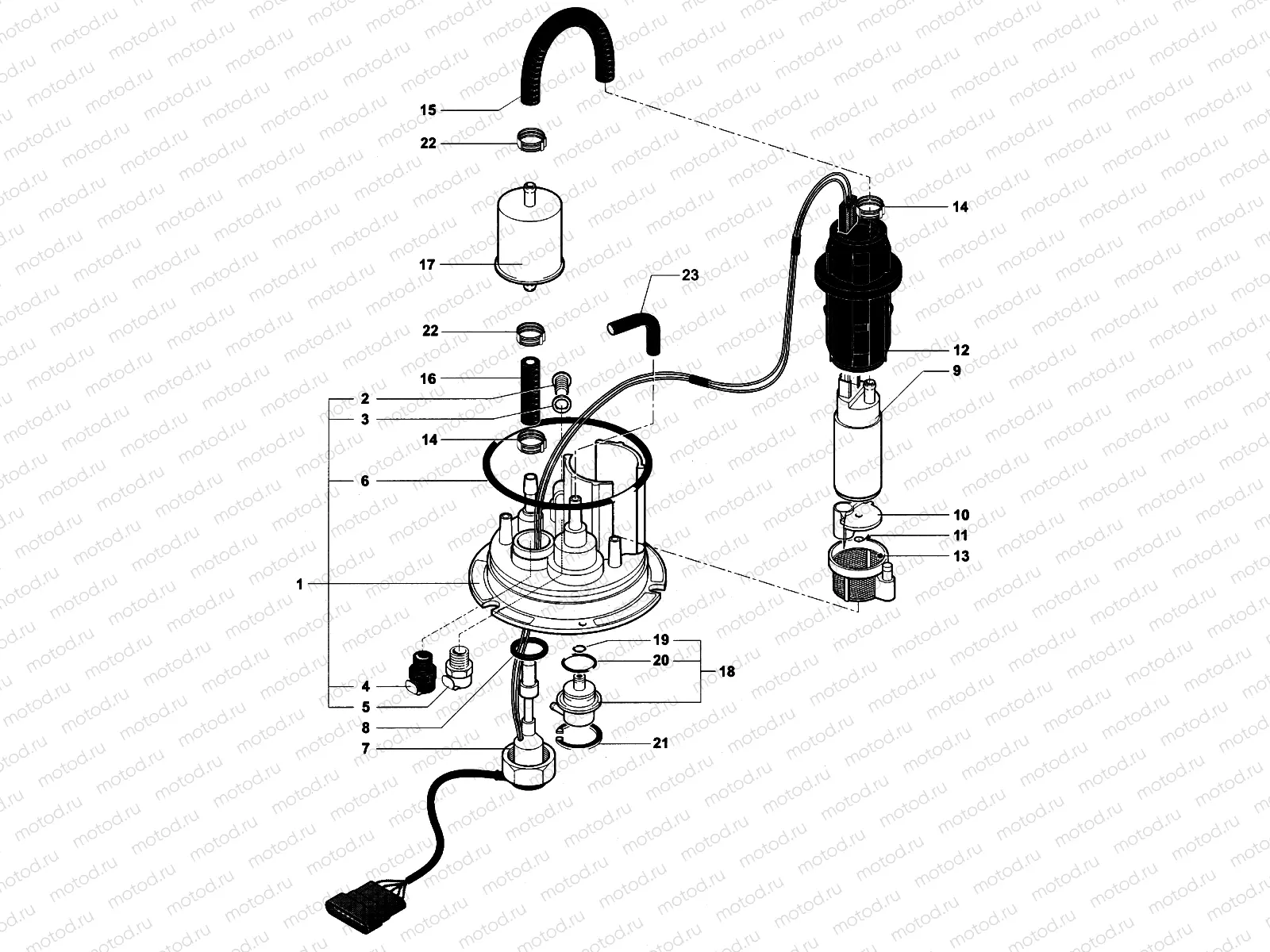 Fuel Pump Assembly