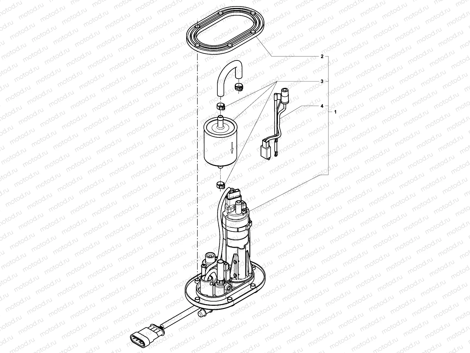 Fuel Pump Assembly