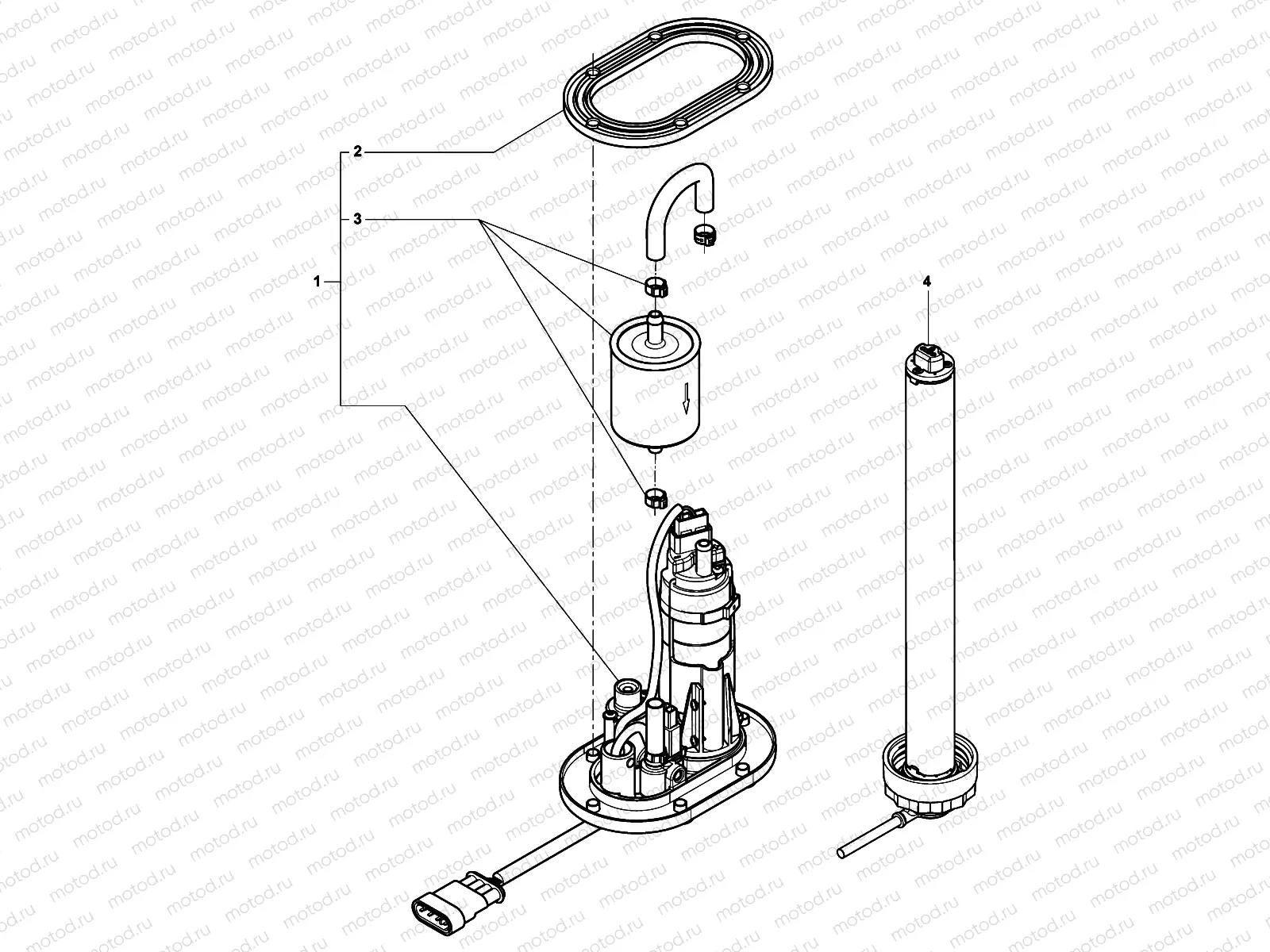 Fuel Pump Assembly