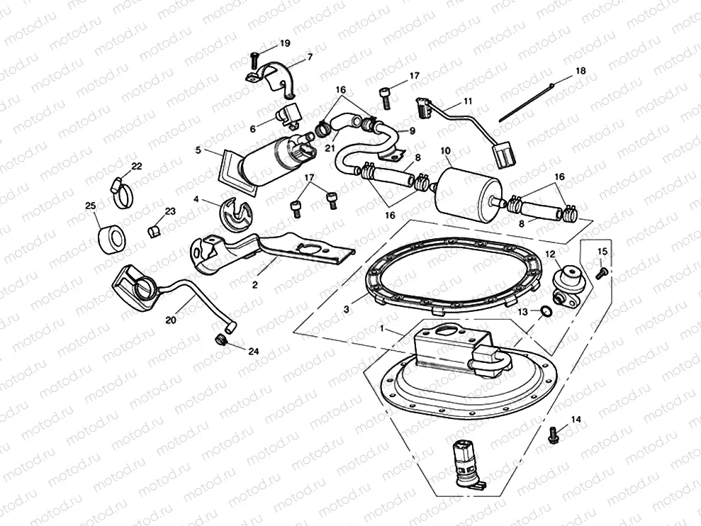Fuel Pump & Fittings