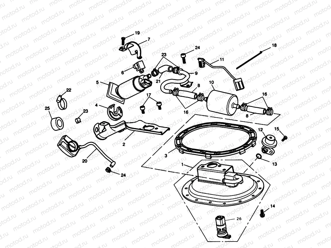 Fuel Pump & Fittings