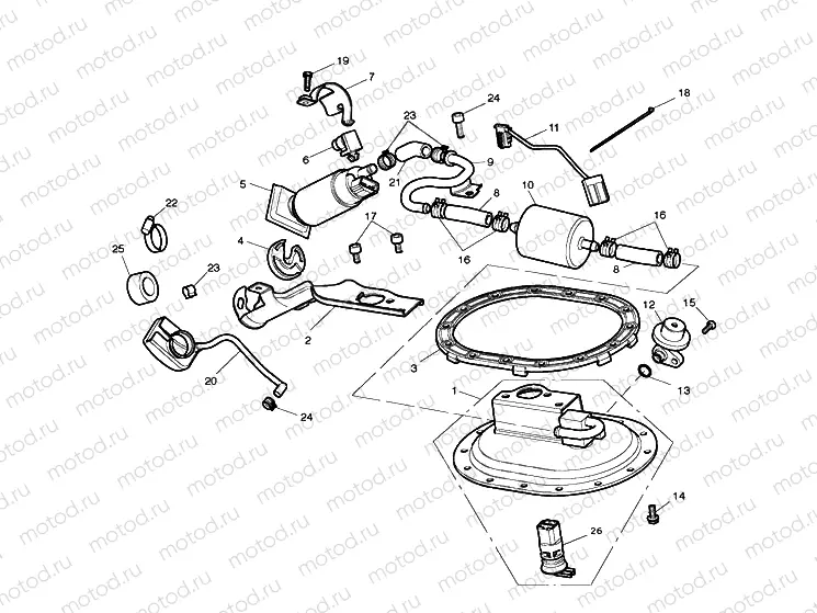 Fuel Pump & Fittings