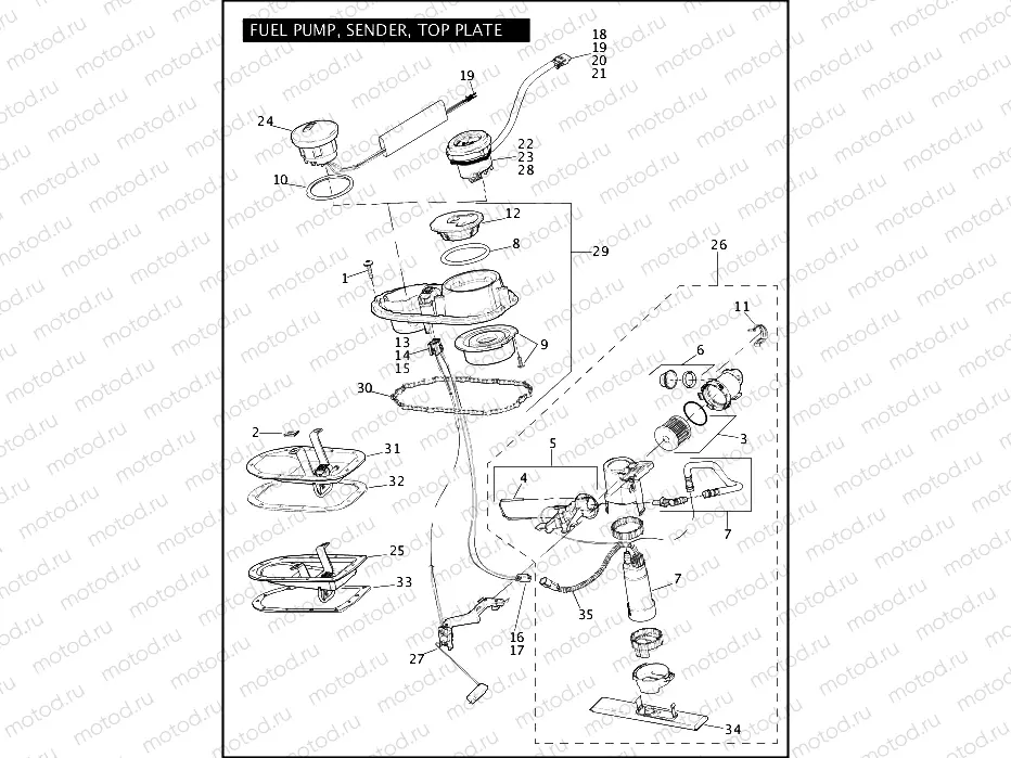 FUEL PUMP, SENDER, TOP PLATE