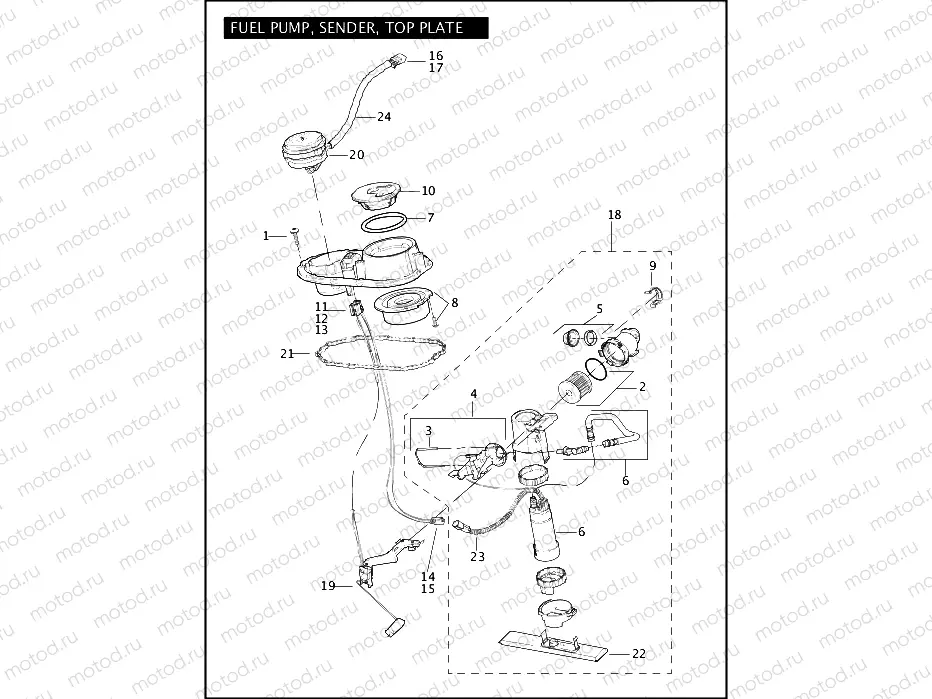 FUEL PUMP, SENDER, TOP PLATE