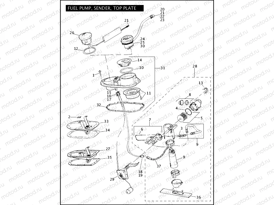 FUEL PUMP, SENDER, TOP PLATE