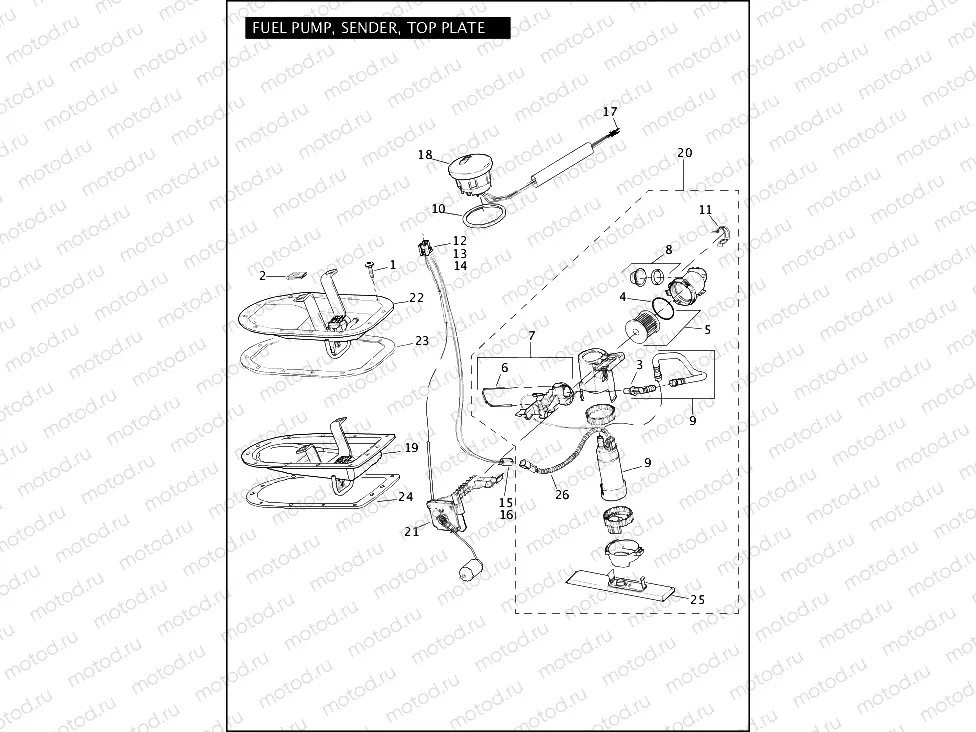 FUEL PUMP, SENDER, TOP PLATE