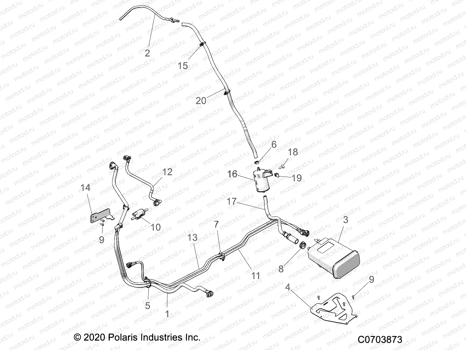 FUEL SYSTEM | FUEL SYSTEM, FUEL LINES, EVAP - Z22RGL2KBP/BP/BT (C0703873)