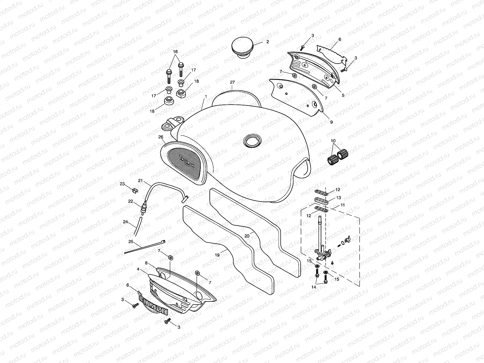 Fuel Tank & Fittings 317246