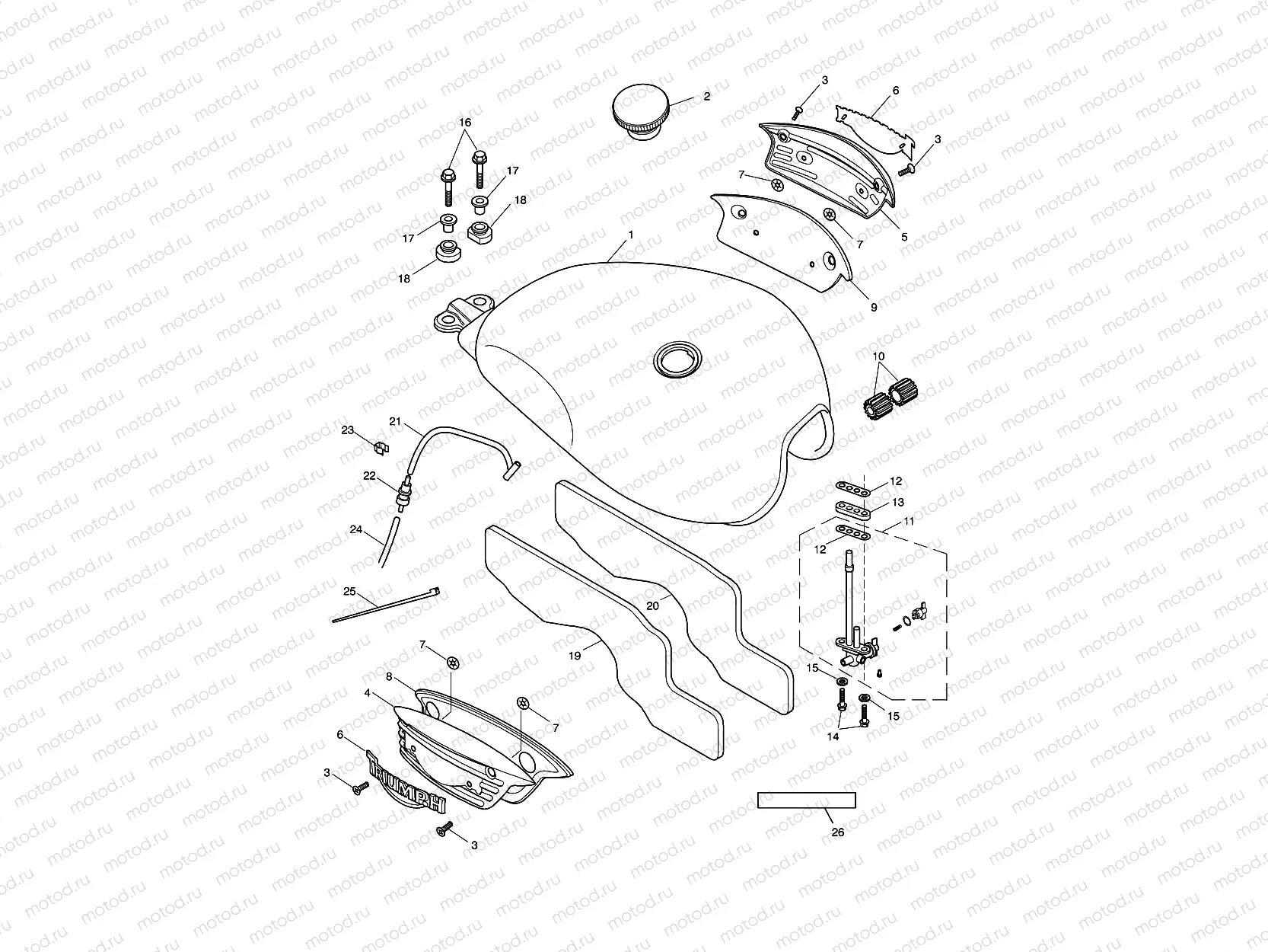 Fuel Tank & Fittings 317246