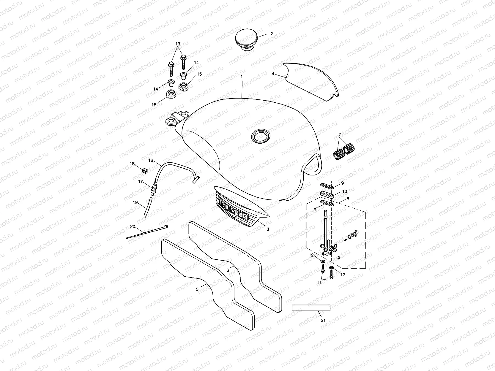 Fuel Tank & Fittings 317247