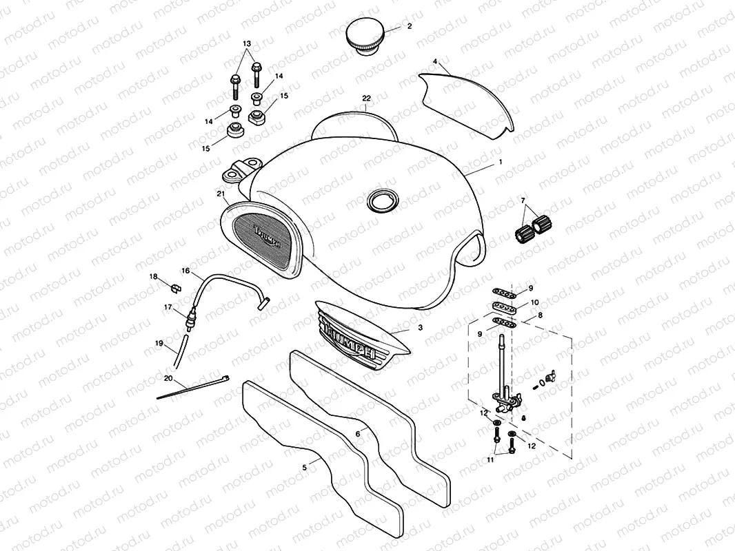 Fuel Tank & Fittings 317247