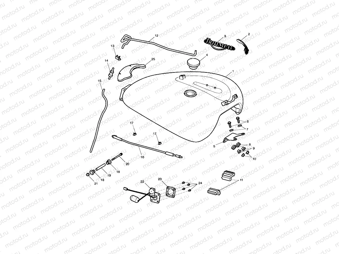 Fuel Tank & Fittings