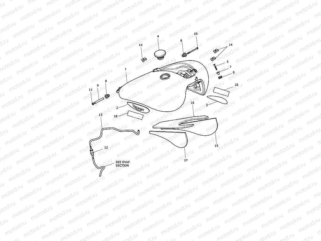 Fuel Tank & Fittings