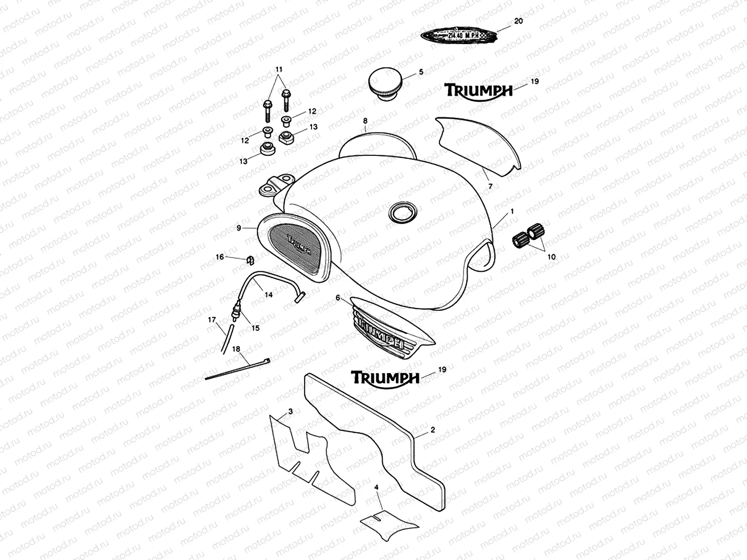Fuel Tank & Fittings - N/A Steve