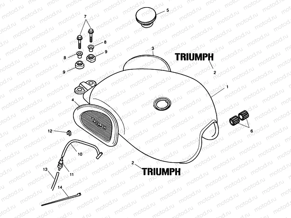 Fuel Tank & Fittings - Steve McQ