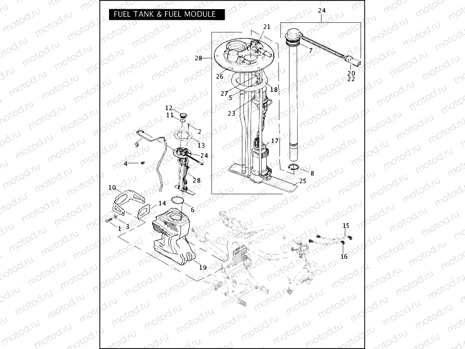 FUEL TANK & FUEL MODULE