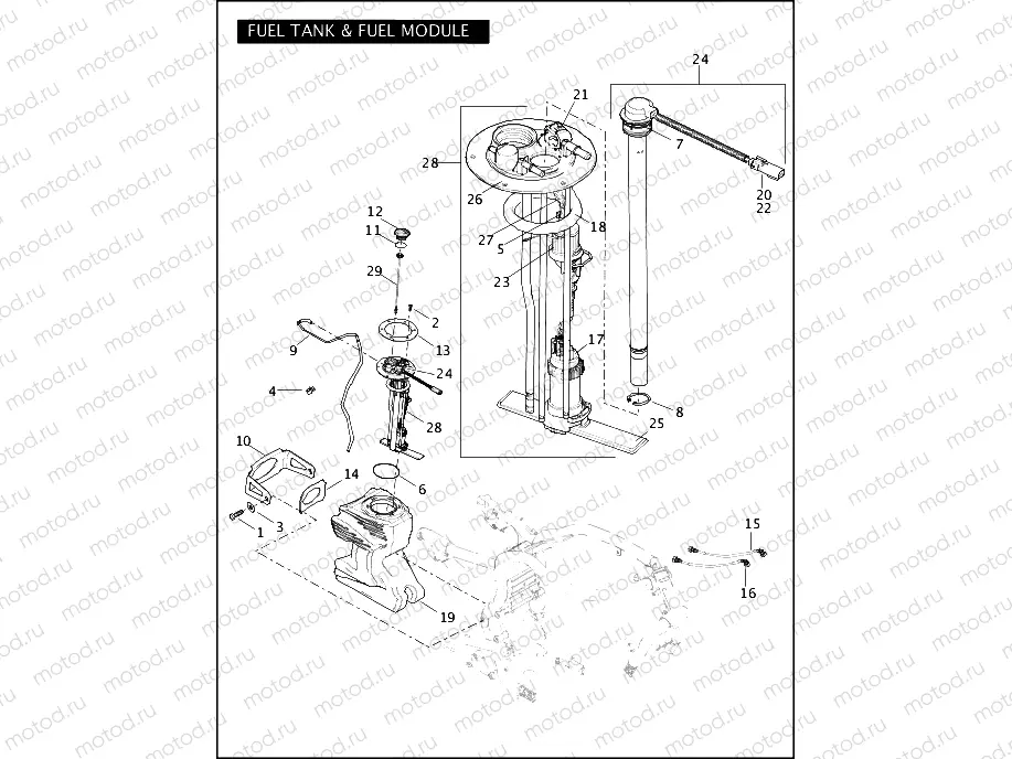 FUEL TANK & FUEL MODULE