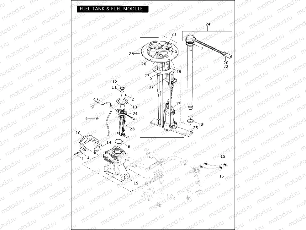 FUEL TANK & FUEL MODULE