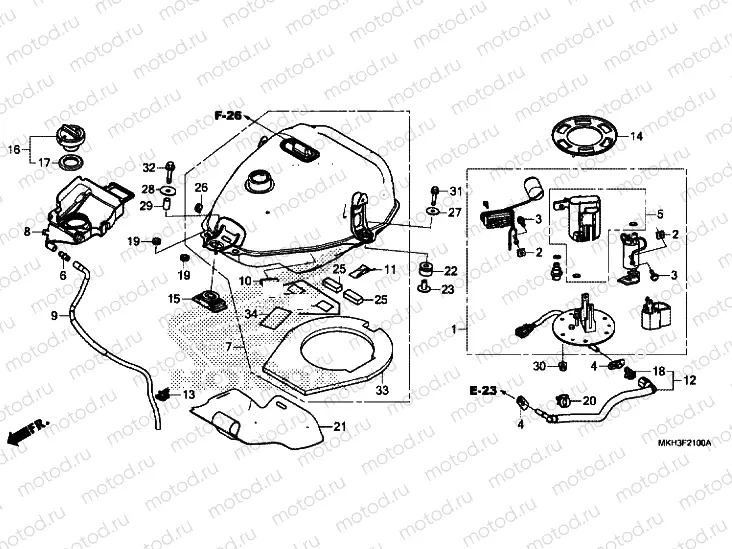 FUEL TANK / FUEL PUMP